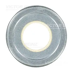 71-20311-00 VICTOR REINZ