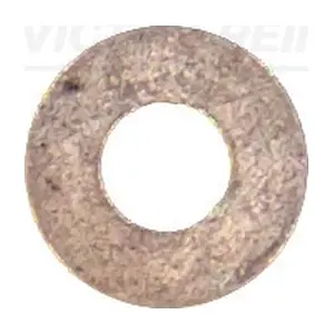 40-70049-00 VICTOR REINZ