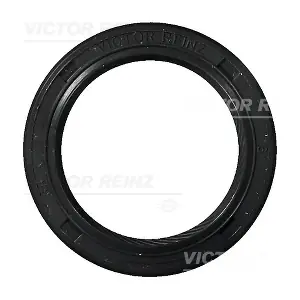 81-25582-10 VICTOR REINZ