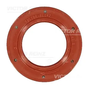 81-24911-00 VICTOR REINZ