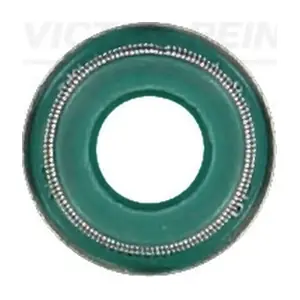 70-31306-10 VICTOR REINZ