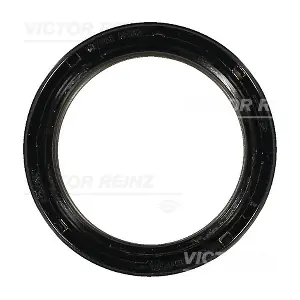 81-36024-00 VICTOR REINZ
