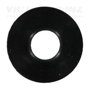 704006300 VICTOR REINZ