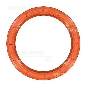 81-15287-10 VICTOR REINZ