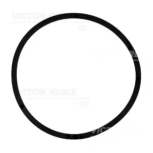 40-77482-00 VICTOR REINZ