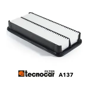 A137 TECNOCAR