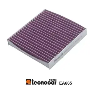 EA665 TECNOCAR