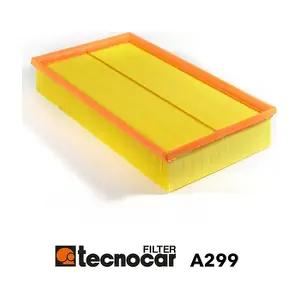 A299 TECNOCAR
