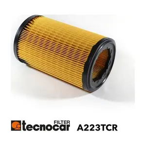 A223TCR TECNOCAR