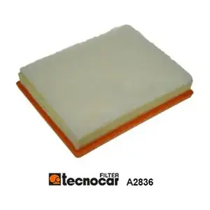 A2836 TECNOCAR