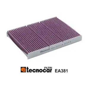 EA381 TECNOCAR