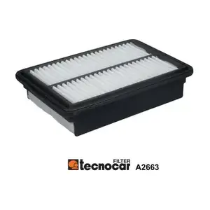 A2663 TECNOCAR
