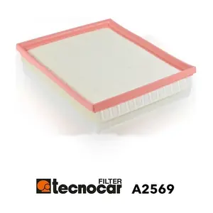 A2569 TECNOCAR