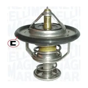 352317100530 MAGNETI MARELLI