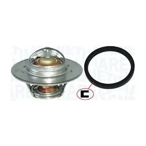 352317002080 MAGNETI MARELLI