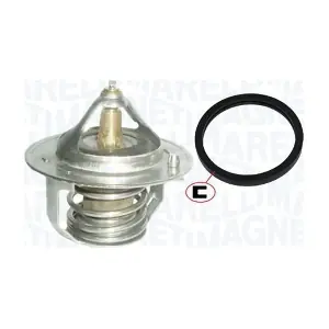 352317101760 MAGNETI MARELLI