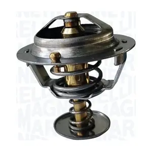 352317002560 MAGNETI MARELLI