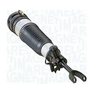 350039100001 MAGNETI MARELLI