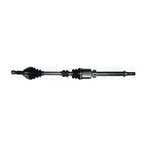 302004190216 MAGNETI MARELLI