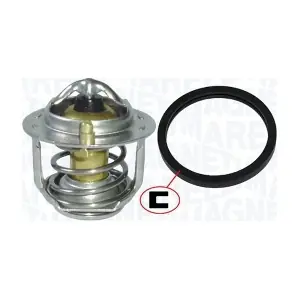 352317100790 MAGNETI MARELLI