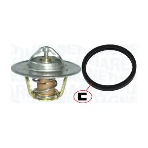 352317100560 MAGNETI MARELLI