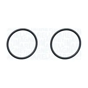 350984316000 MAGNETI MARELLI