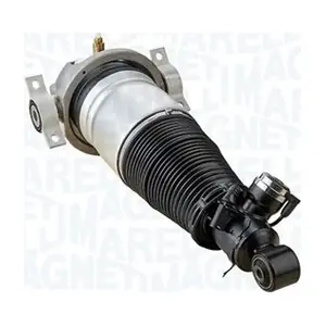 350019100001 MAGNETI MARELLI