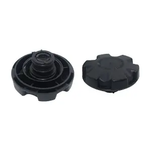 359001602930 MAGNETI MARELLI