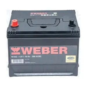 067070560011 MAGNETI MARELLI
