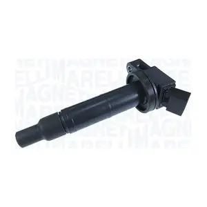 060717119012 MAGNETI MARELLI