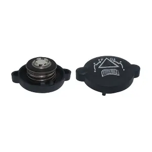 359001603100 MAGNETI MARELLI