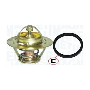 352317001010 MAGNETI MARELLI