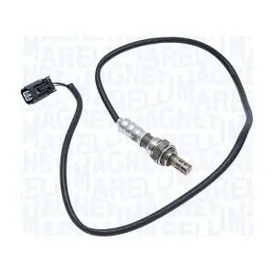 466016355203 MAGNETI MARELLI