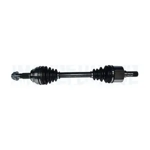 302004190230 MAGNETI MARELLI