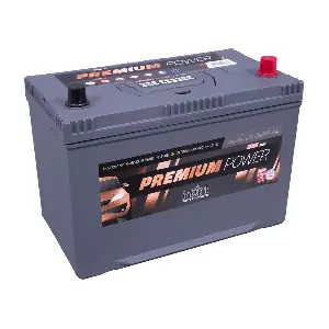PP95MF-0-ASIA IntAct