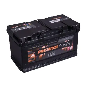PP85MF IntAct